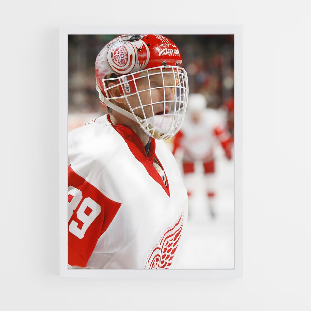 Poster Dominik hasek – affiche Hockey sur glace (vue 3)